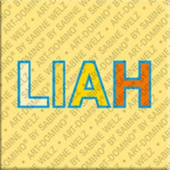Aimant - LIAH