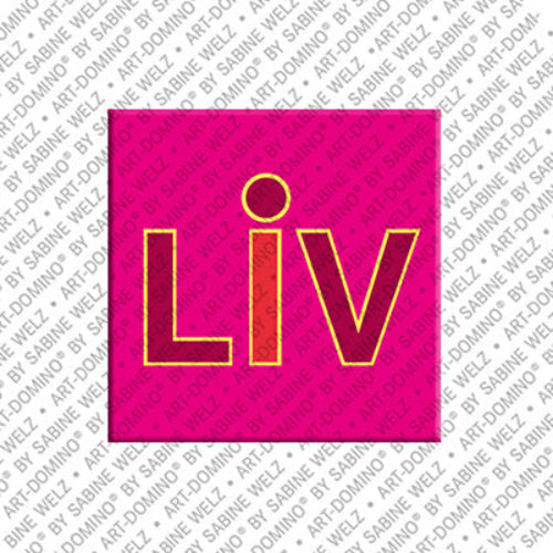 Kühlschrankmagnet Liv