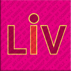 Magnet - LIV