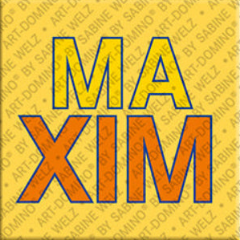 Magnet - MAXIM