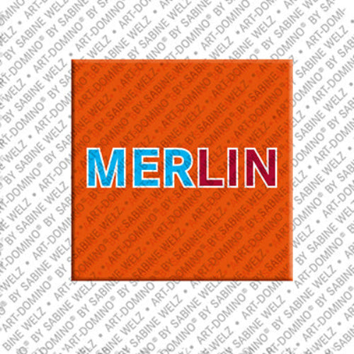 Kühlschrankmagnet Merlin