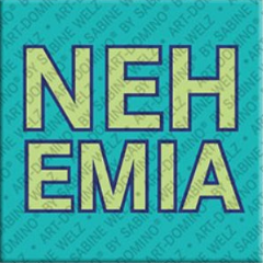 Magnet - NEHEMIA