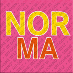 Aimant - NORMA
