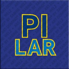 Aimant - PILIER