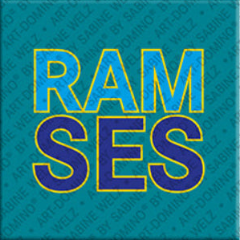 Magnet - RAMSES
