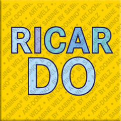 Aimant - RICARDO
