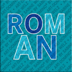 Magnet - ROMAN