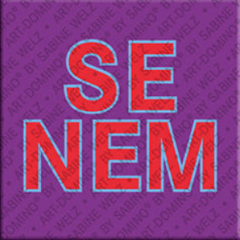 Magnet - SENEM