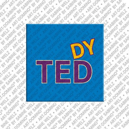 Kühlschrankmagnet Teddy