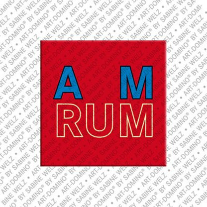 Kühlschrankmagnet Amrum