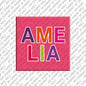 Magnet - AMELIA