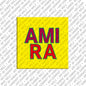 Magnet - AMIRA
