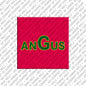 Magnet - ANGUS