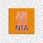 Magnet - ANTONIA