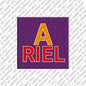 Magnet - ARIEL