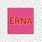 Magnet - ERNA