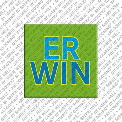 Magnet - ERWIN