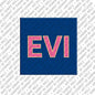 Magnet - EVI