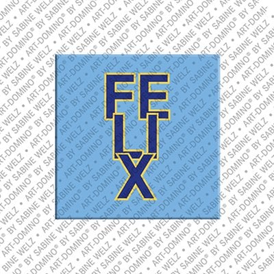 Magnet - FELIX