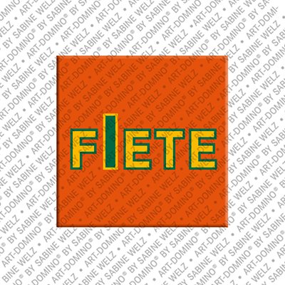 Magnet - FIETE