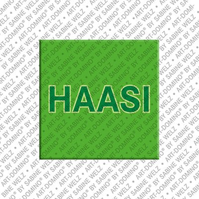 Magnet - HAASI