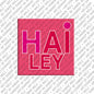 Magnet - HAILEY