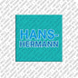 Magnet - HANS-HERMANN