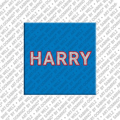 Magnet - HARRY