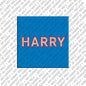 Magnet - HARRY