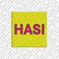 Magnet - HASI