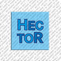 Magnet - HECTOR