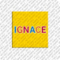 Magnet - IGNACE