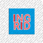 Magnet - INGRID