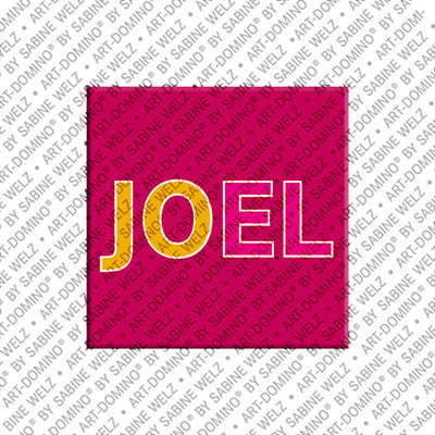 Aimant - JOEL
