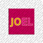 Magnet - JOEL