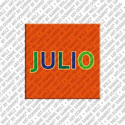 Magnet - JULIO