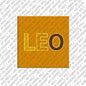 Magnet - LEO