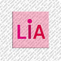 Magnet - LIA