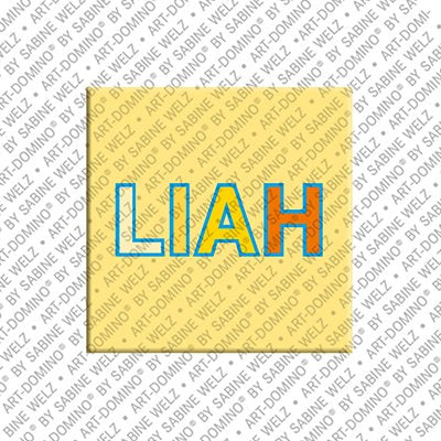 Aimant - LIAH