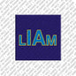 Magnet - LIAM