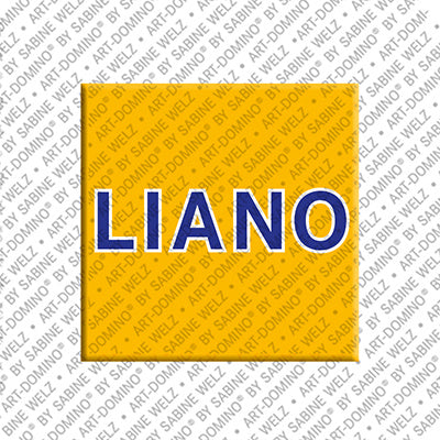 Magnet - LIANO