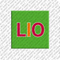 Magnet - LIO
