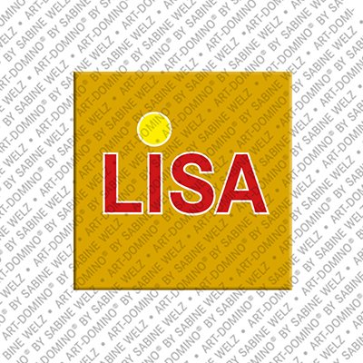 Magnet - LISA