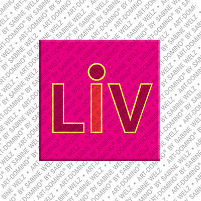 Magnet - LIV