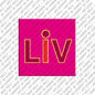 Magnet - LIV