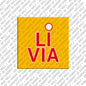 Magnet - LIVIA