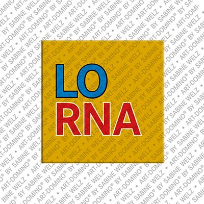 Magnet - LORNA