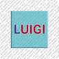Magnet - LUIGI