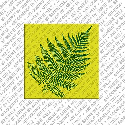 Magnet - Neuseeland - 01
