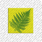 Magnet - New Zealand - 01